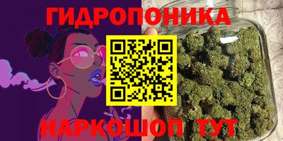 эйфоретик Краснознаменск