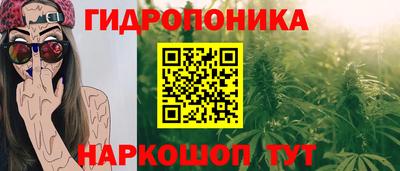 индика Краснодар