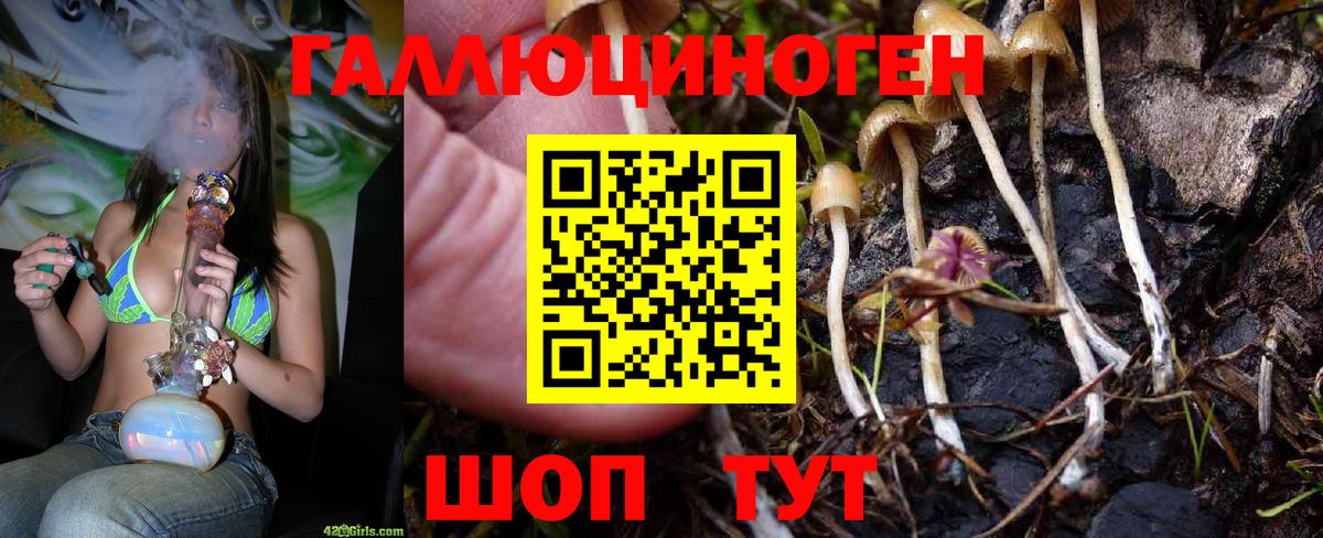 Галлюциногенные грибы Magic Shrooms Йошкар-Ола